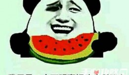 吃瓜群众 梗,揭秘“吃瓜群众”背后的网络文化现象