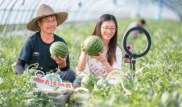 吃瓜湖州老师,吃瓜背后的教育情怀