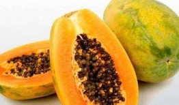 孕妇梦见去摘洋瓜吃,孕妇摘洋瓜食之奇遇