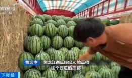 吃瓜标本,一场别开生面的标本之旅