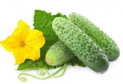 吃瓜系统唐雪青,吃瓜系统背后的故事与启示