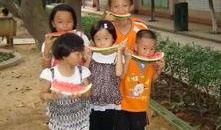 吃瓜观众多,揭秘娱乐圈幕后真相