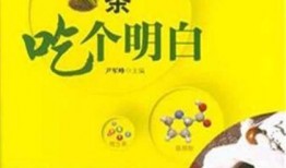 茶茶吃瓜全集书,揭秘娱乐圈背后的秘密与真相