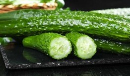 没钱也要买瓜吃,没钱也要买瓜吃的奇幻之旅