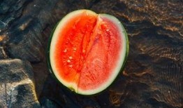 吃瓜标本,一场别开生面的标本之旅