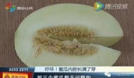 瓜芽子怎么吃