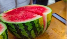 阿姆斯特丹大学吃瓜,一场别开生面的“吃瓜”盛宴