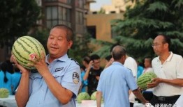 圆满吃瓜,揭秘娱乐圈幕后真相