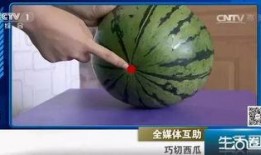 古代吃瓜不吐籽,吃瓜不吐籽，品味传统饮食文化
