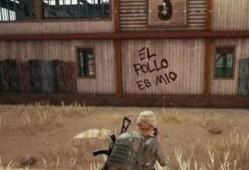 吃鸡绿洲在哪吃瓜,揭秘吃鸡绿洲的瓜田秘境