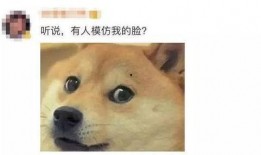 狗头老婆吃瓜合集,揭秘娱乐圈幕后故事