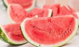 吃瓜专用衣服是什么,揭秘“吃瓜专用衣服”的独特魅力