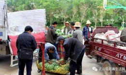 宁蒗县吃瓜群众,吃瓜群众的热闹生活画卷