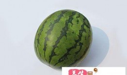 感冒了可不可以吃蜜瓜,感冒期间蜜瓜食用指南