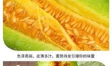 临邑吃瓜视频,揭秘当地特色美食与风土人情