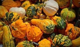 孕初期可以吃蜜瓜