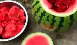 后悔吃瓜视频,揭秘那些让人追悔莫及的吃瓜瞬间