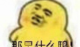 错过吃瓜表情包,你错过了多少欢乐瞬间？