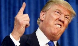 斯蒂芬吃瓜群众,吃瓜群众的智慧与趣味