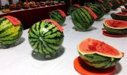 坏空空吃瓜,揭秘娱乐圈背后的秘密与真相