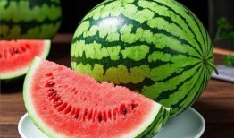 熹儿吃瓜,揭秘娱乐圈幕后故事