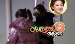 倪萍吃瓜视频全集,揭秘娱乐圈幕后真相