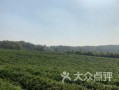 南京方山吃瓜,夏日吃瓜盛宴，感受田园风光与民俗风情