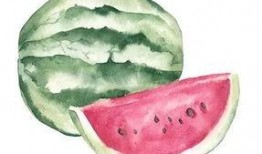 吃瓜标本,一场别开生面的标本之旅