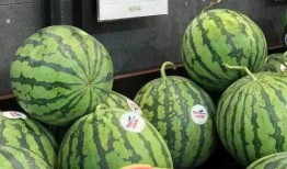 神时衍吃瓜,揭秘娱乐圈背后的那些事儿