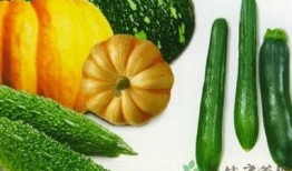 吃瓜热门吃瓜,吃瓜群众的热门话题大盘点