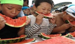 东北打架吃瓜,打架吃瓜背后的故事