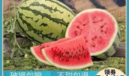 以前吃瓜和最近吃瓜,吃瓜群众的智慧与变迁