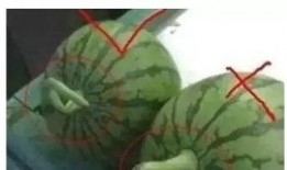 小酷的吃瓜,揭秘娱乐圈那些不为人知的幕后故事