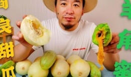 吃瓜炸裂网红,吃瓜炸裂！揭秘网红背后的惊人真相