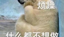 考研吃瓜群众的图片,揭秘考研生活众生相