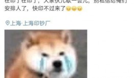 狗头老婆吃瓜合集,揭秘娱乐圈幕后故事