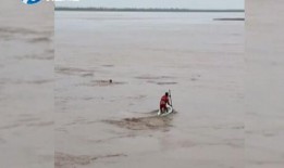 吃瓜群众腻厉害,揭秘网络舆论场的风云变幻