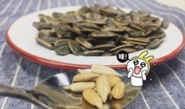 吃瓜甩瓜子,一场别开生面的吃瓜甩瓜子盛宴