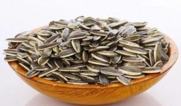 吃瓜甩瓜子,一场别开生面的吃瓜甩瓜子盛宴