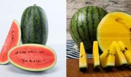 吃瓜32号,一场网络热点的背后故事