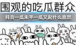 抖音吃瓜id,“揭秘抖音吃瓜ID背后的热门话题与趣味故事”