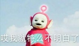 有僧吃瓜,揭秘僧侣生活中的趣味瞬间