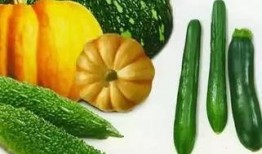 滴漏瓜怎么吃,解锁美味新体验