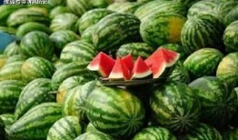 熹儿吃瓜,揭秘娱乐圈幕后故事