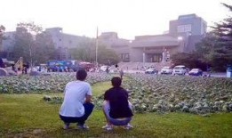 东营操场吃瓜事件