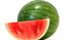 苏麦亚吃瓜,一场甜蜜的收获之旅