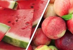 暴力吃瓜的食物,暴力吃瓜者的美食探索之旅