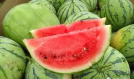 享受吃瓜的乐趣,解锁吃瓜新境界，共享欢乐时光