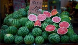 吃瓜大聚会,揭秘吃瓜大聚会的欢乐时光