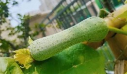 百高吃瓜,揭秘娱乐圈幕后真相